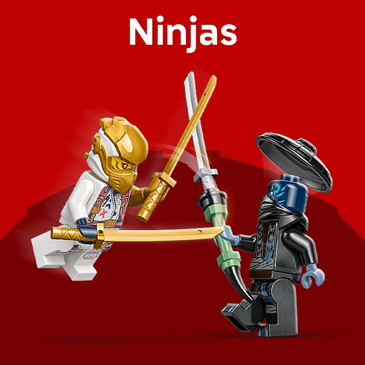 Ninja's & Draken | 2TTOYS ✓ Official shop<br>