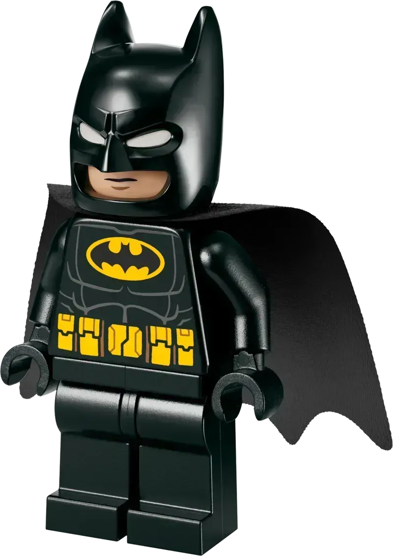 LEGO Batman &amp; Batmobile Vs Mr. Freeze 76301 Batman (Delivery: January 2025)