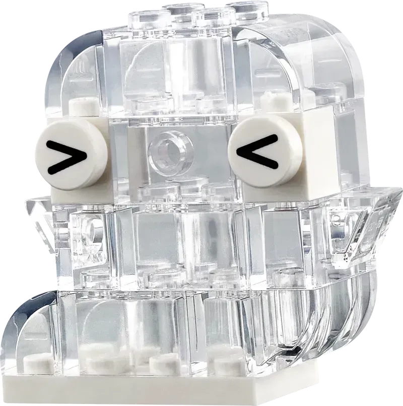 LEGO Transparent Box 11040 Classic (Pre-Order: March 2025)