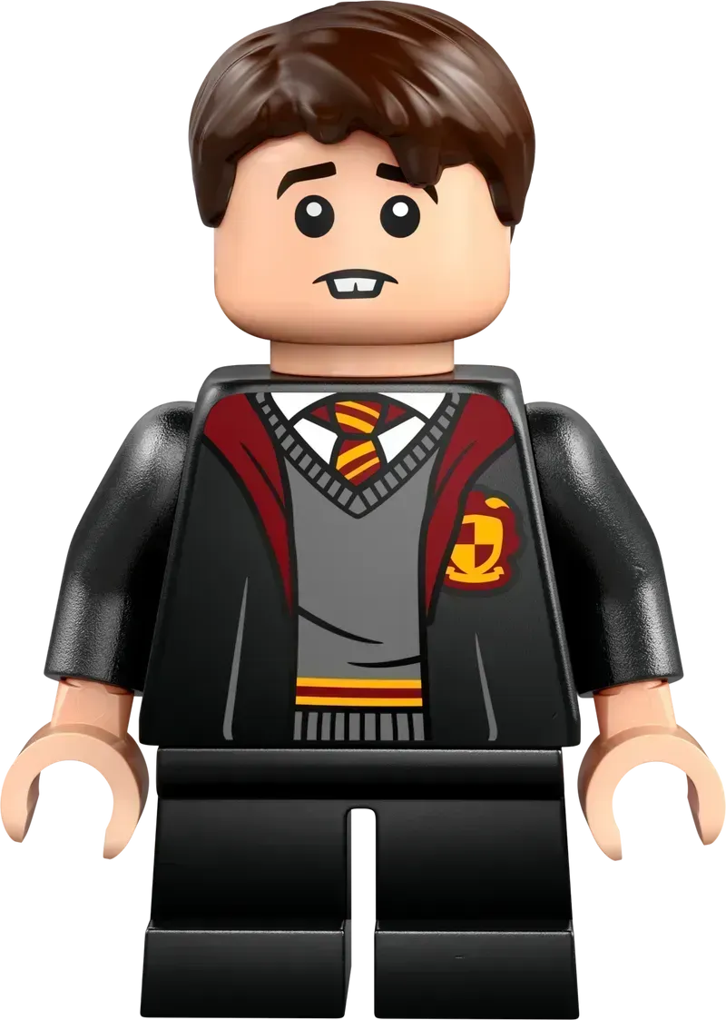 LEGO Flying Lesson at Hogwarts Castle 76447 Harry Potter (Delivery: January 1, 2025)