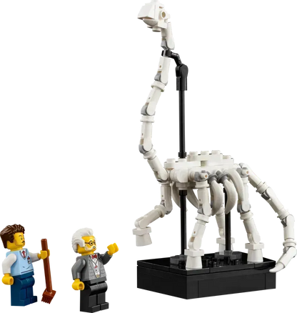 LEGO Natuurhistorisch museum 10326 Icons (USED)