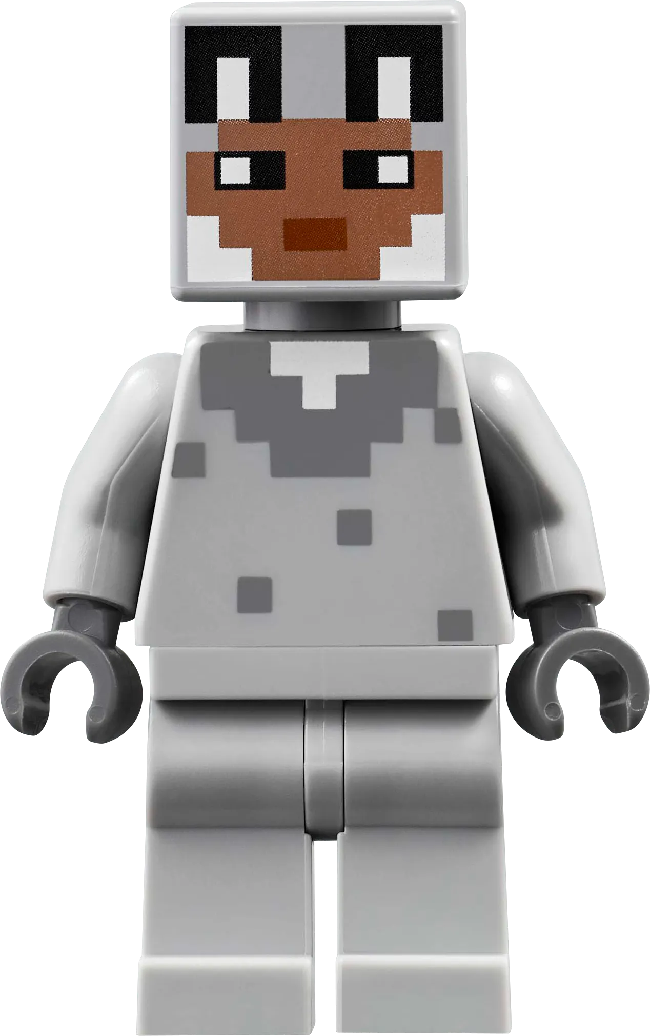 LEGO The Baby Pig House 21268 Minecraft
