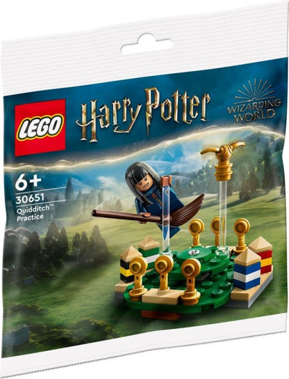 LEGO Zwerkbaltraining 30651 Harry Potter Polybag