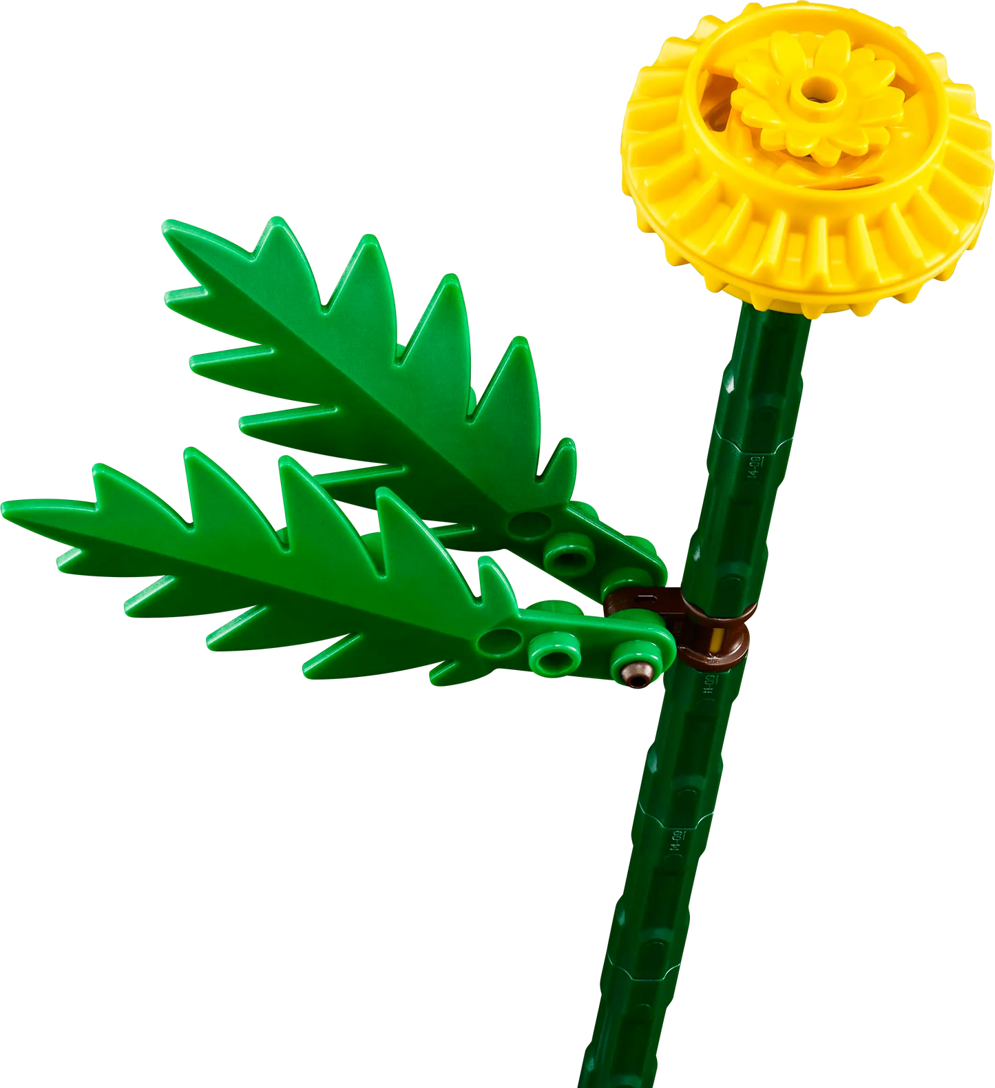 LEGO Veldbloemen 30701 Botanische Collectie