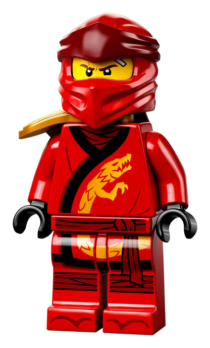 LEGO Ninjago Stadstuinen / The gardens of Ninjago City 71741 Ninjago