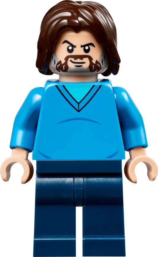 LEGO The Arena at the Forest Manor 21272 Minecraft