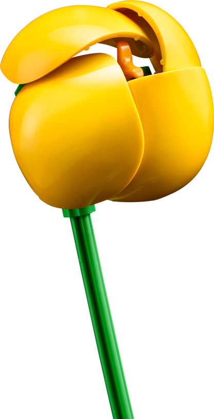 LEGO Klein zomers boeket 10347 Botanical