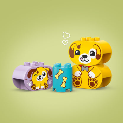 LEGO Vormenstoof: puppyhuis 10441 DUPLO