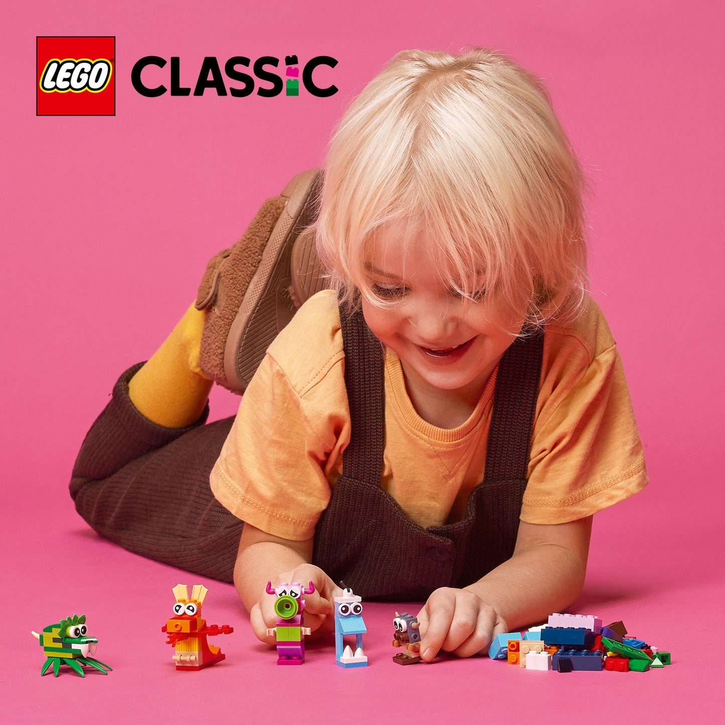 LEGO Stenen en Functies 11019 Classic