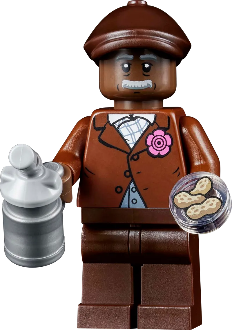 LEGO De ontwikkeling van Stem 21355 Ideas