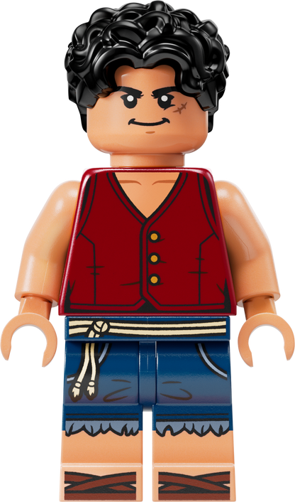 LEGO Circustent van Buggy de Clown 75637 One Piece