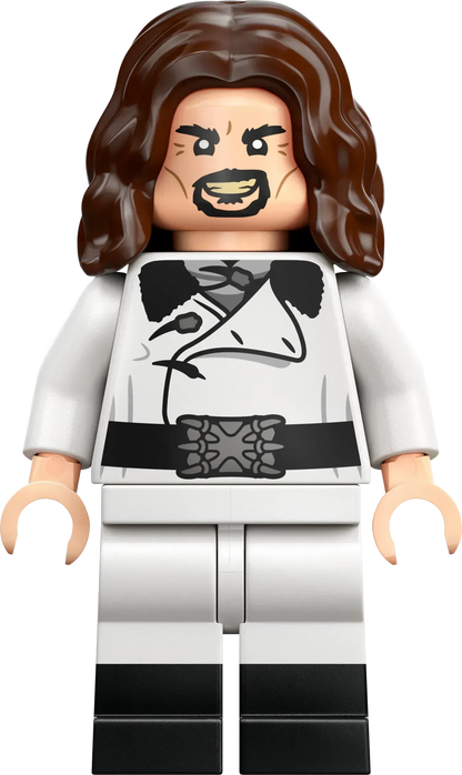 LEGO Toverschool Toernooi: de aankomst 76440 Harry Potter