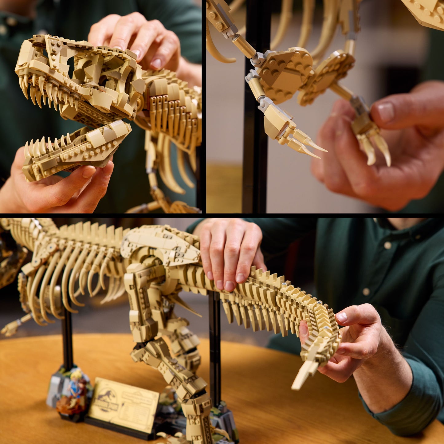 LEGO T. rex Skelet 76968 Jurassic World