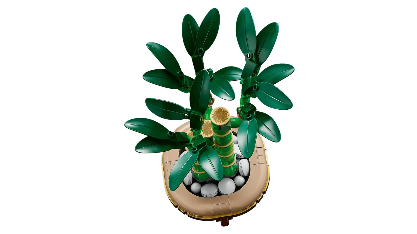 LEGO Geluksbamboe 10344 Botanische Collectie (Levering: Januari 2025) @ 2TTOYS | Official LEGO shop😊🥰 2TTOYS €. 24.99