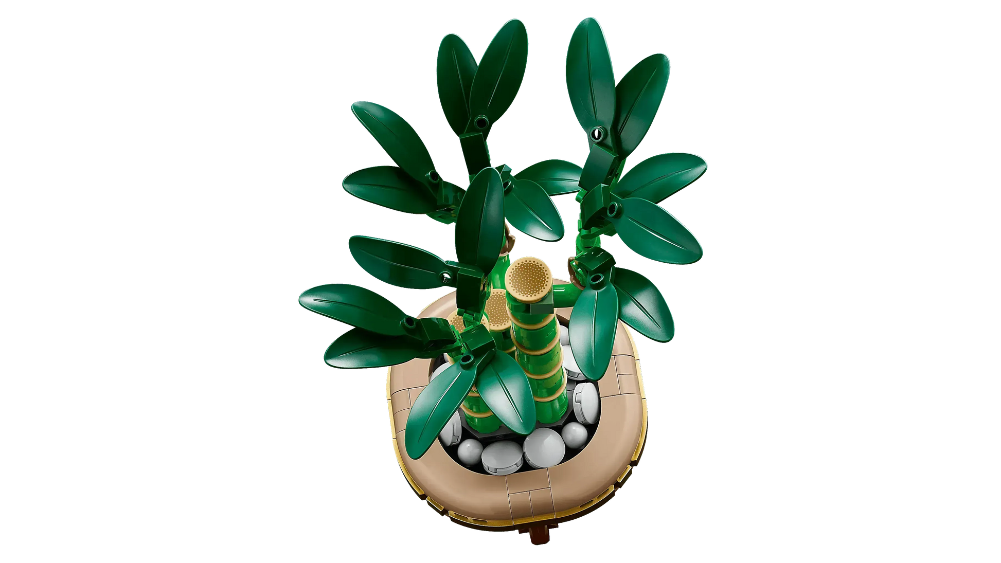 LEGO Geluksbamboe 10344 Botanische Collectie (Levering: Januari 2025) @ 2TTOYS | Official LEGO shop😊🥰 2TTOYS €. 24.99