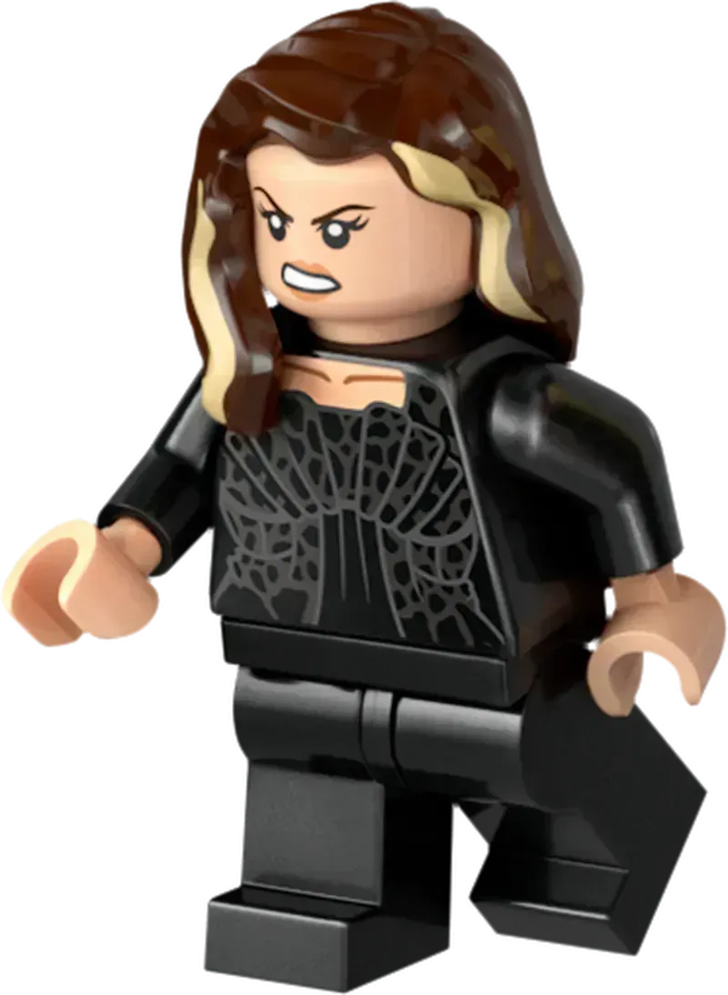 LEGO Het landhuis van Malfidus 76453 Harry Potter