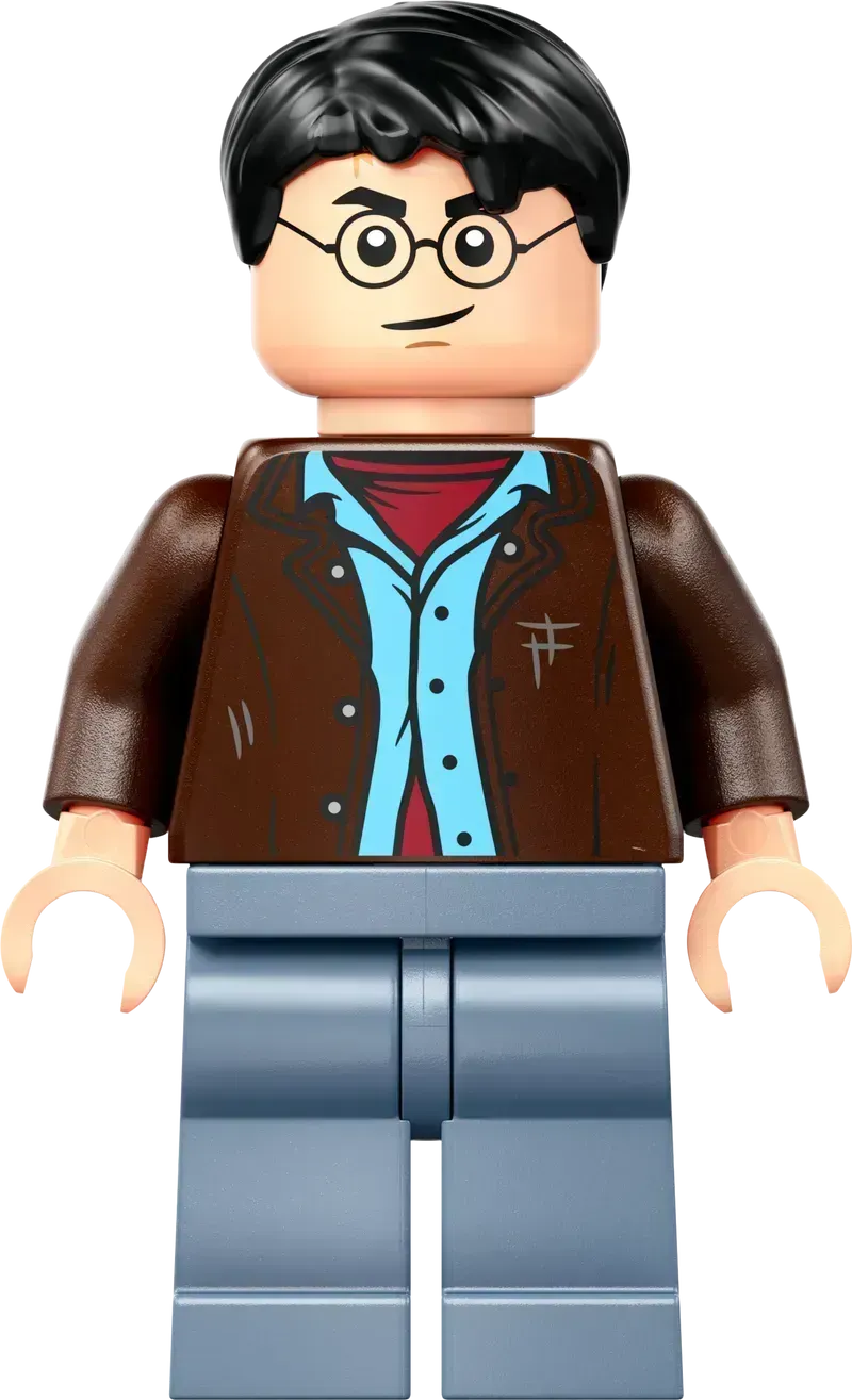 LEGO Het landhuis van Malfidus 76453 Harry Potter