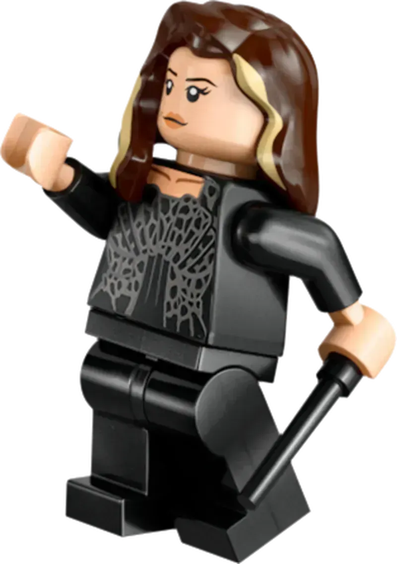 LEGO Het landhuis van Malfidus 76453 Harry Potter