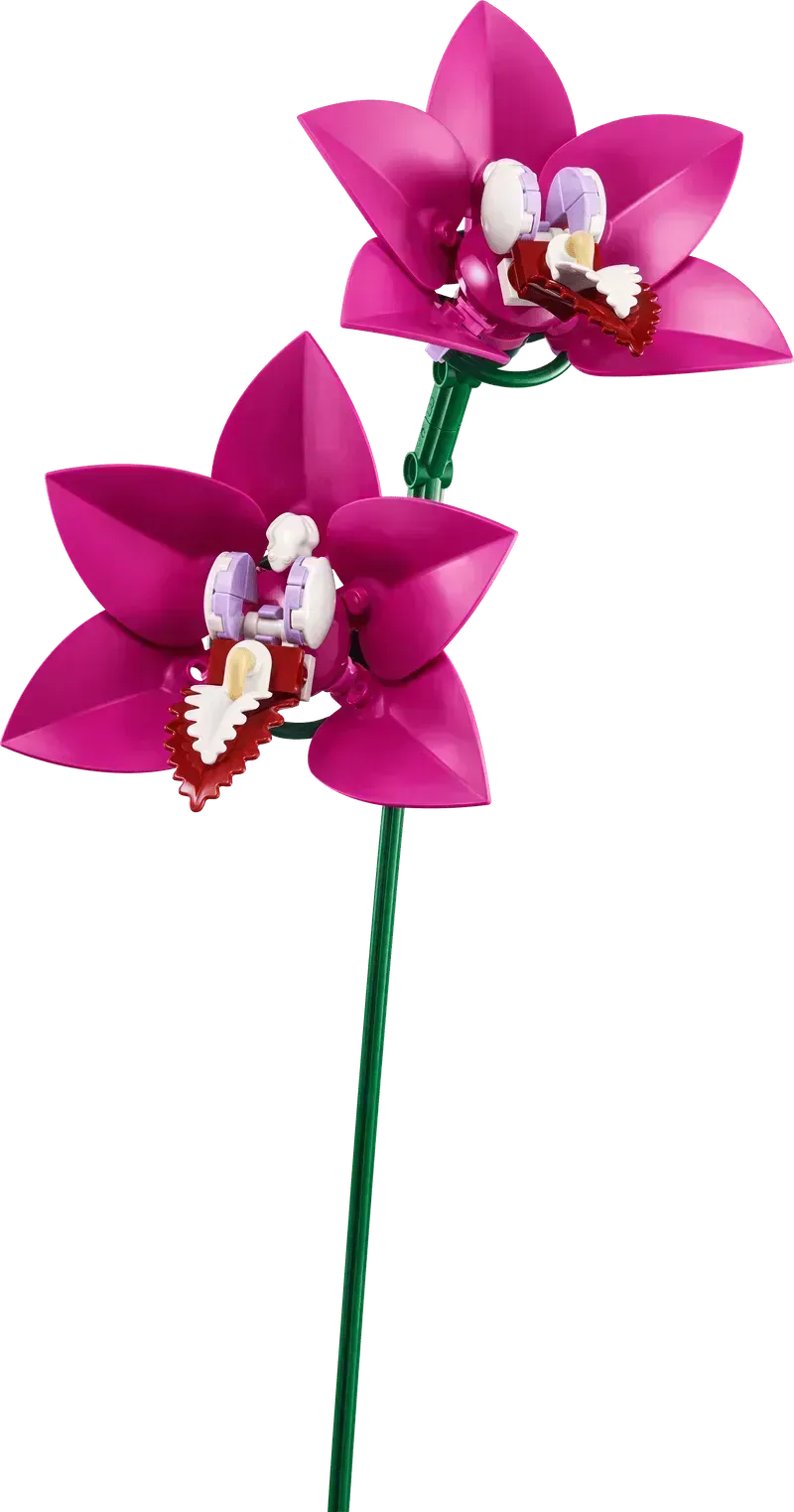 LEGO Roze boeket 10342 Botanical