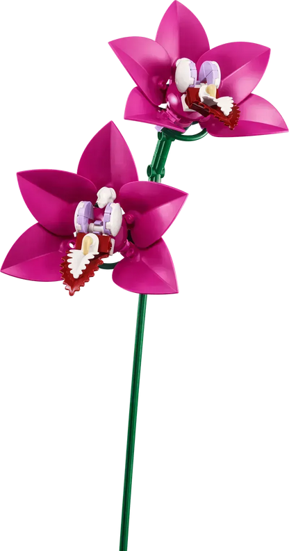 LEGO Roze boeket 10342 Botanical