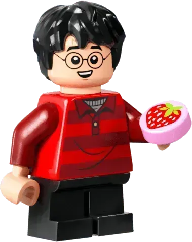 LEGO Der Fuchsbau - Collector's Edition 76437 Harry Potter