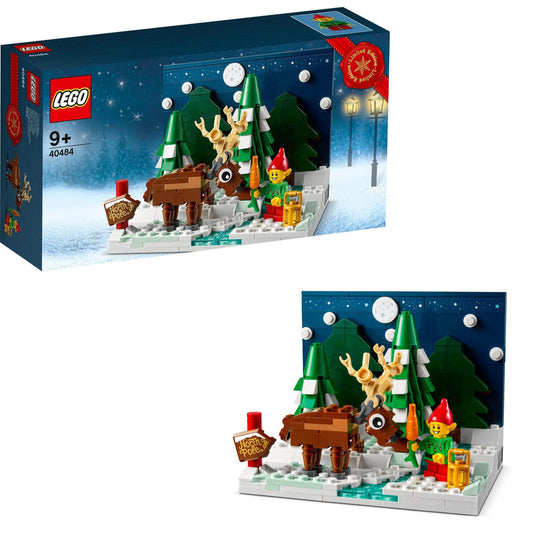 LEGO De tuin van de Kerstman 40484 Creator