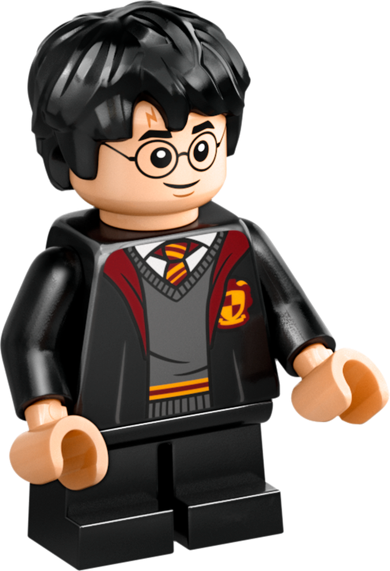 LEGO Kasteen Zweinstein Dueleerclub 76441 Harry Potter