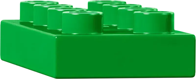 LEGO Creative Flower Garden 10444 DUPLO