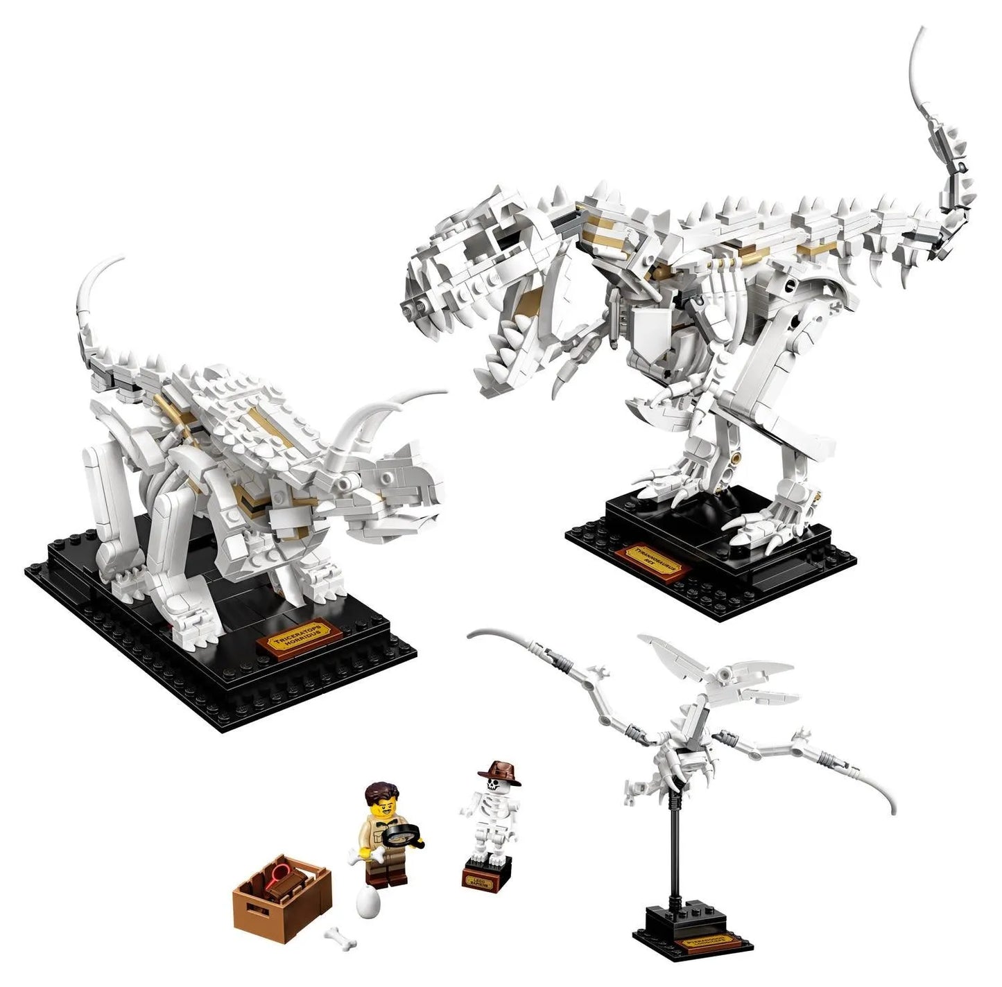 LEGO Dinosaurus fossielen 21320 Ideas LEGO IDEAS @ 2TTOYS | Official LEGO shop😊🥰 LEGO €. 109.99