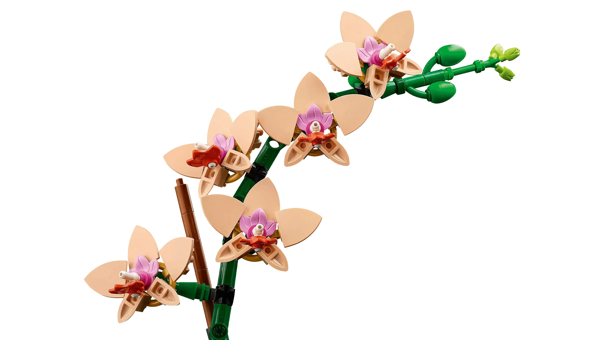 LEGO Mini Orchidee 10343 Botanische Collectie @ 2TTOYS | Official LEGO shop😊🥰 2TTOYS €. 24.99