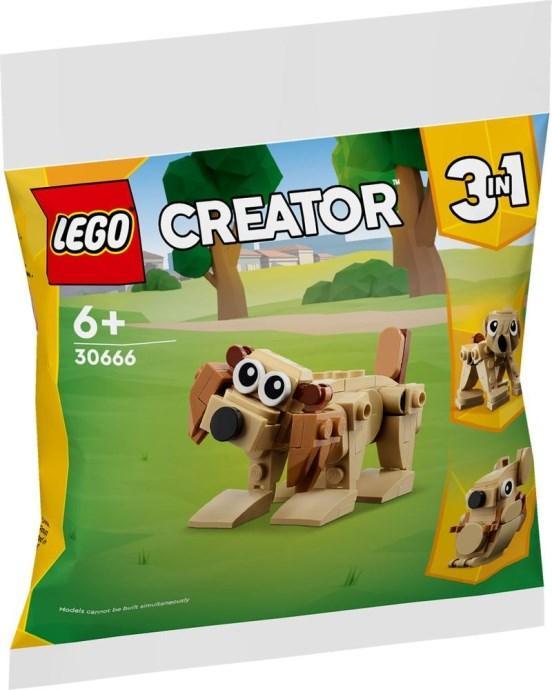 LEGO Dieren om cadeau te doen 30666 Creator 3 in 1 LEGO CREATOR @ 2TTOYS | Official LEGO shop😊🥰 LEGO €. 3.99