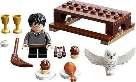 LEGO Harry Potter en Hedwig 30420 Harry Potter Polybag LEGO HARRY POTTER @ 2TTOYS LEGO €. 4.99